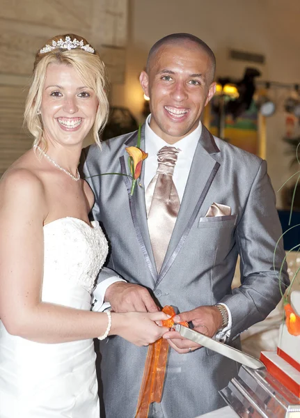 Bride and Groom cutting the cake — Stock Photo, Image