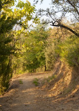 alpujarra dağlarda yürüyüş yolu