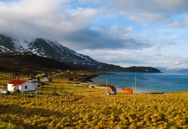 Hamlet Torsvåg