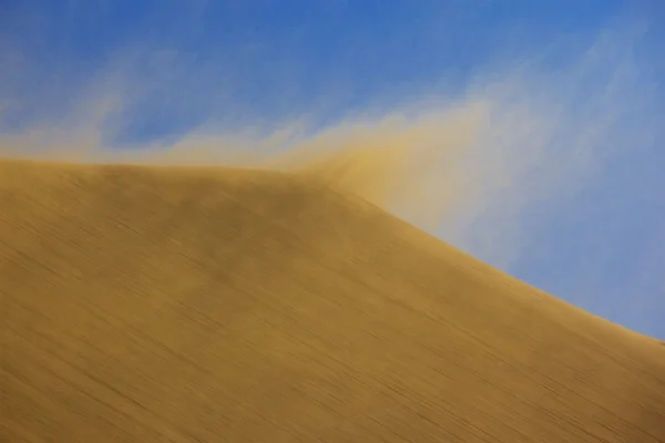 Песчаная буря на дюне — стоковое фото