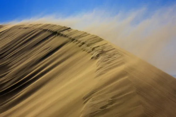 Песчаная буря на дюне — стоковое фото