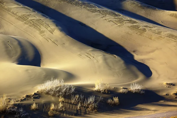 Dettaglio dune di sabbia — Foto Stock
