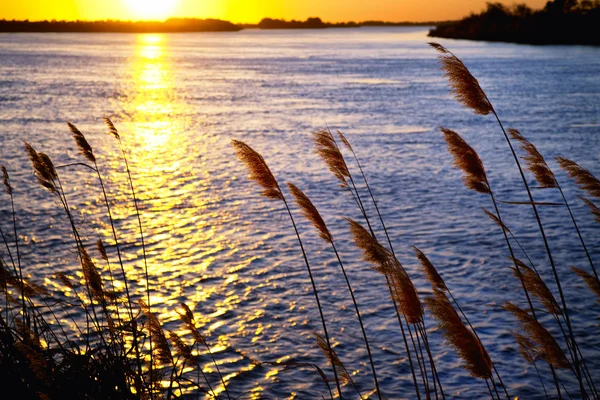 Захід сонця на річці — стокове фото