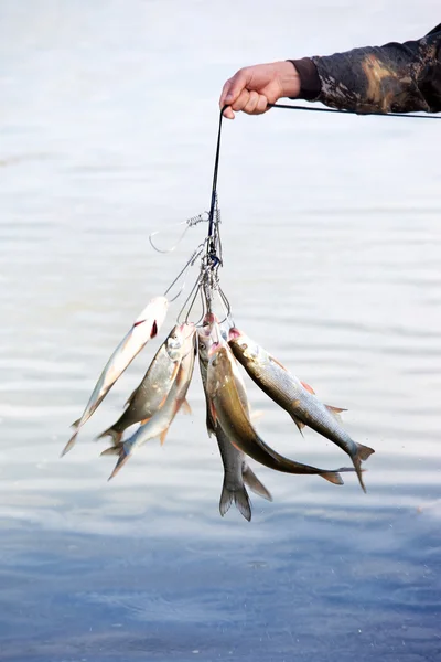 Visser krijgt uit de vangst — Stockfoto