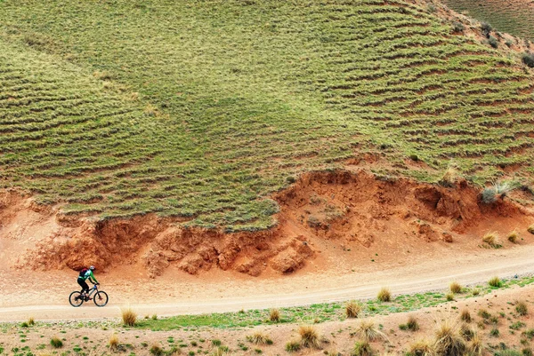 Mountain biker on rural road — Stock Photo, Image