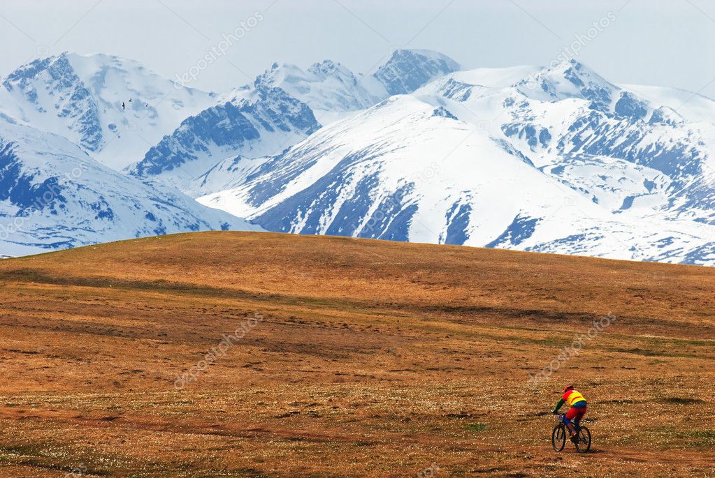 Mountain biker and snow peaks