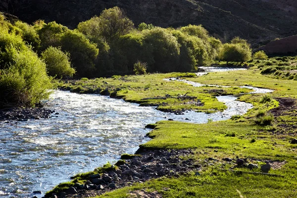Утренняя и маленькая горная река — стоковое фото