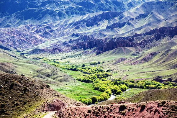Oásis em montanhas do deserto — Fotografia de Stock