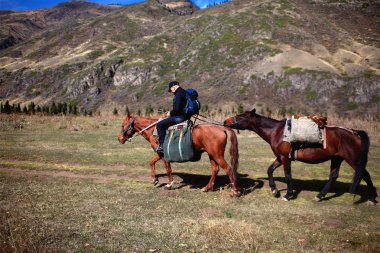 Tired tourist on a horse clipart