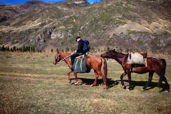 Müder Tourist auf dem Pferd — Stockfoto