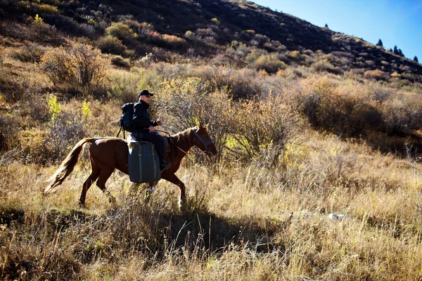 马背上骑术 — 图库照片