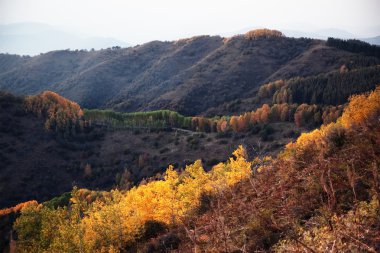 Autumnal landscape clipart