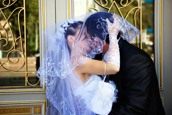 Νύφη και γαμπρός φιλάει κάτω από πέπλο — Φωτογραφία Αρχείου