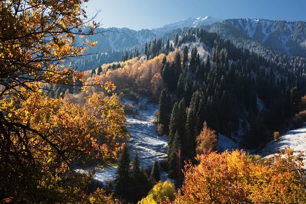 Primeira neve nas montanhas do outono — Fotografia de Stock