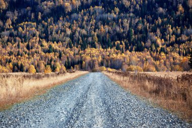 Old country road in autumn mountain forest clipart