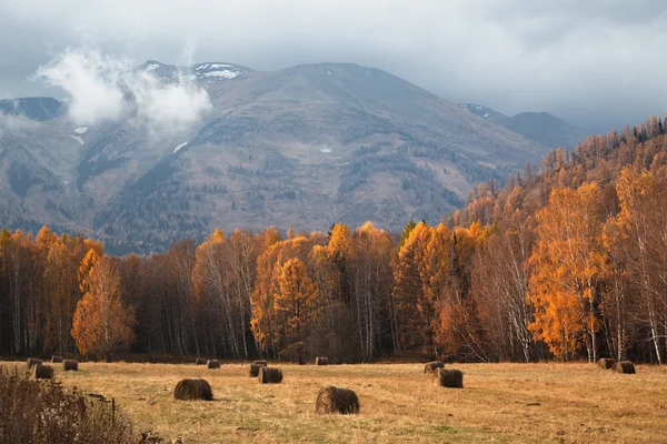 Dağlarda yağmur sonra sonbahar manzarası — Stok fotoğraf