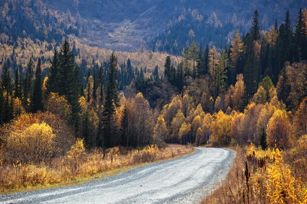 Старая дорога в осеннем горном лесу — стоковое фото