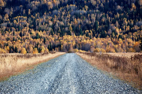 Old country road in autumn mountain forest — Stock Photo, Image