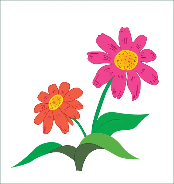 Achtergrond. twee multi gekleurde bloemen met bladeren — Stockvector