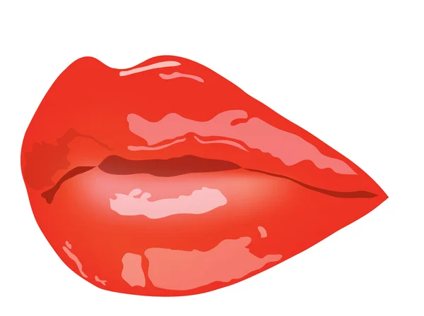 Labbra femminili. Labbra femminili con rossetto rosso — Vettoriale Stock