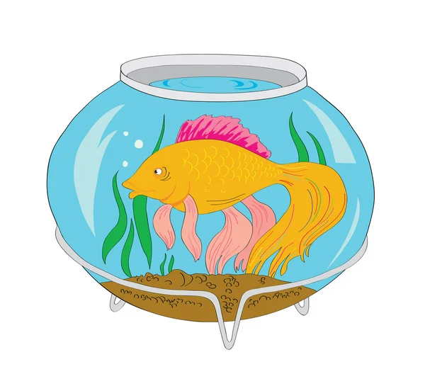 Goldfish in an aquarium with water — Stock Vector