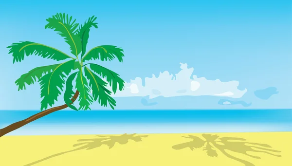 Fondo. verano. una palmera verde en la playa. — Stok Vektör