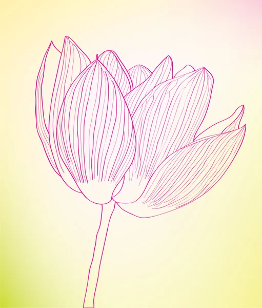 Fleur abstraite rose fine contre . — Image vectorielle