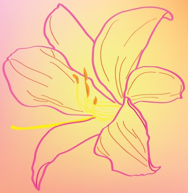 Silhouette of an abstract pink lily.