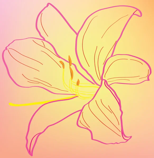 Silhouette d'un lys rose abstrait . — Image vectorielle