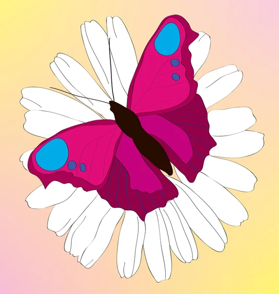 Le beau papillon lilas sur une camomille . — Image vectorielle