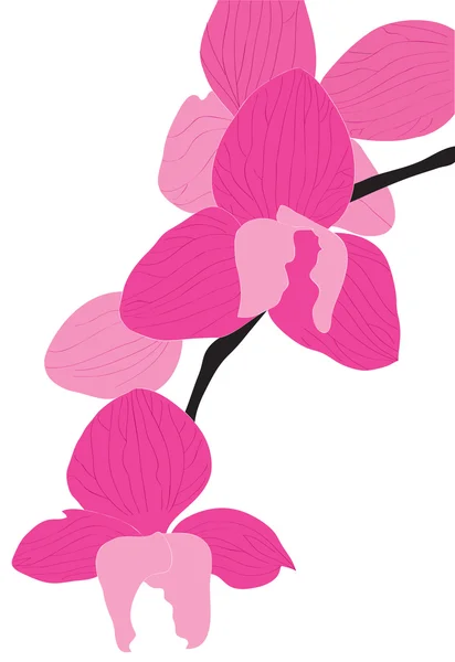 Schöne abstrakte Blume von rosa Farbe. — Stockvektor
