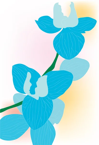 Beautiful abstract flower of blue colour. — Stock Vector