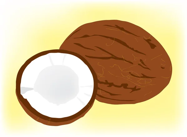 두 달콤한 코코넛. — 스톡 벡터
