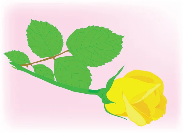 Fin gul ros med blad. — Stock vektor