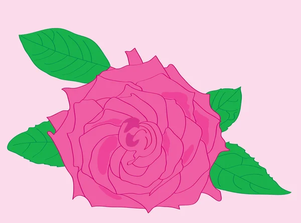 Schöne rosa Rose mit Blättern. — Stockvektor