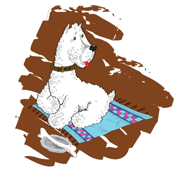 White terrier on a laying with a stone in a bowl. — Stock Vector