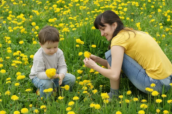 Chlapec s jeho matka sbírání jarních květin — Stock fotografie