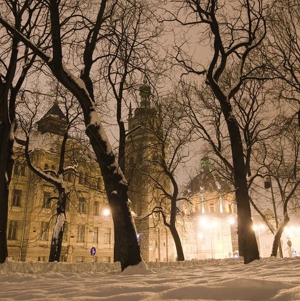 겨울밤 — 스톡 사진
