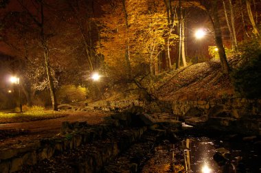 Gece sonbahar park su birikintisi