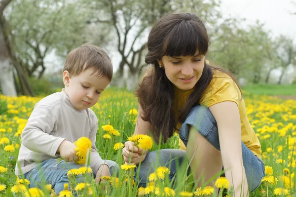 Onun annesi toplamak bahar çiçekleri ile çocuğu — Stok fotoğraf