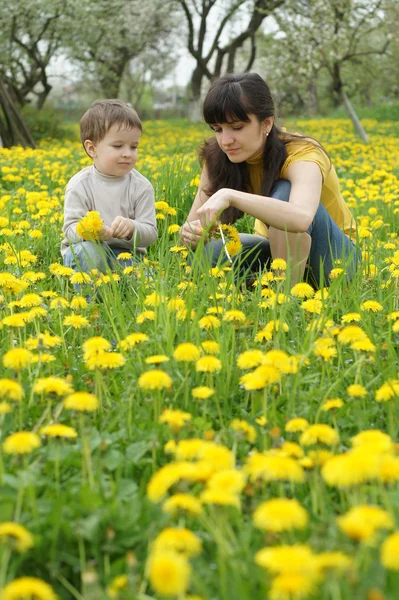 Menino com sua mãe coletar flores da primavera — Fotografia de Stock