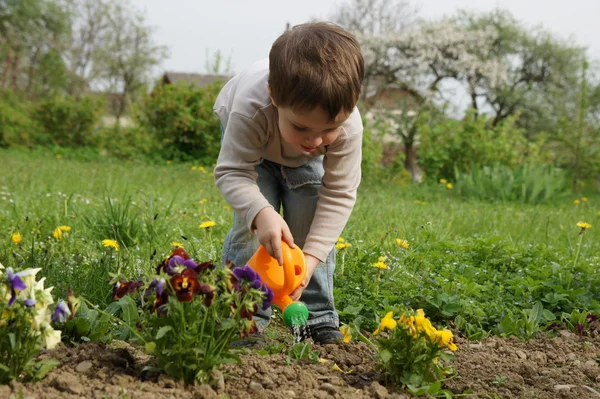 Niño cuidadosamente regado flores — Foto de Stock