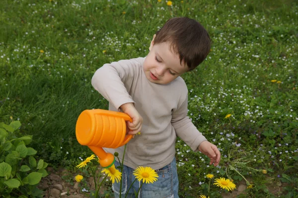 Pojke vattnade noggrant blommor — Stockfoto
