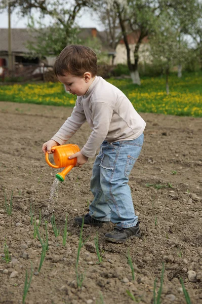 Junge gießt sorgfältig Pflanzen — Stockfoto
