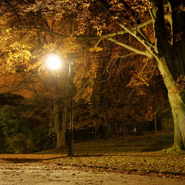 Lanternă în parc — Fotografie, imagine de stoc