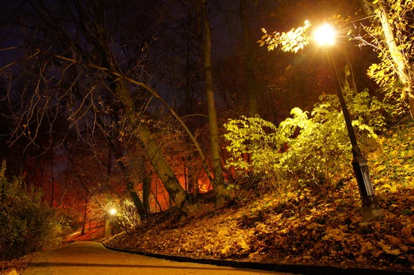 Podzimní park v noci — Stock fotografie