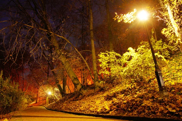 Park in der Herbstsaison — Stockfoto