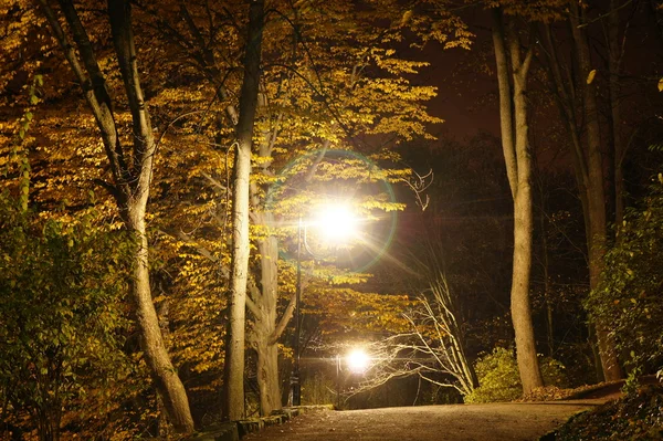 Podzimní sezóna v noci — Stock fotografie