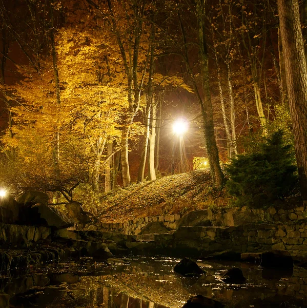 Autumn park at night — Stock Photo, Image