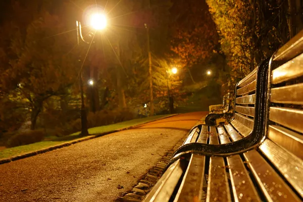 Panchina nel parco di notte Foto Stock